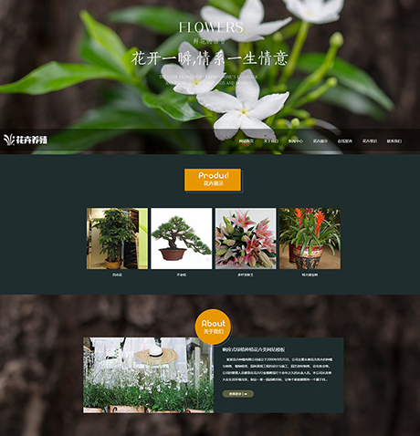 预览响应式花卉类网站制作模板