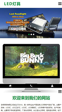 响应式灯具类网站建设手机站缩略图