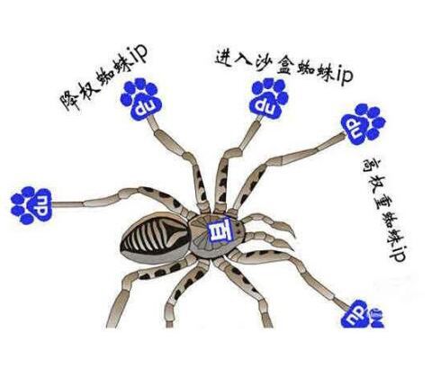 spider蜘蛛来访日志插件